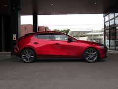 ͣڣģեȥХå ӡץƥ֡ġ󥰡쥯 9030871A20250306Z008 4