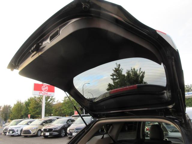 シャトル ハイブリッドX ホンダセンシング 1年走行無制限保証 除菌シートクリーニング 純正8インチナビ バックカメラ フルセグTV Bluetooth DVDビデオ LEDヘッドライト アダプティブクルーズ シートヒーター プッシュスタート(42枚目)