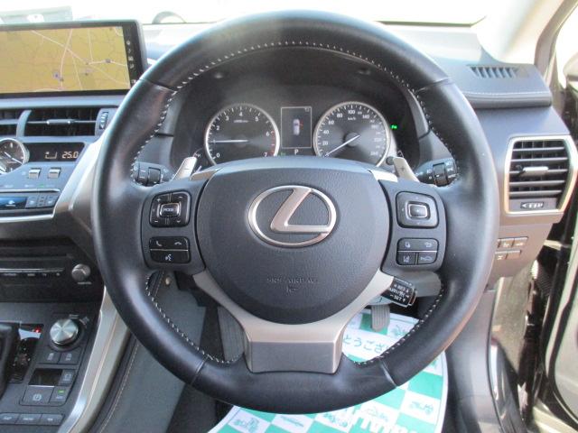 NX300 バージョンL(9枚目)