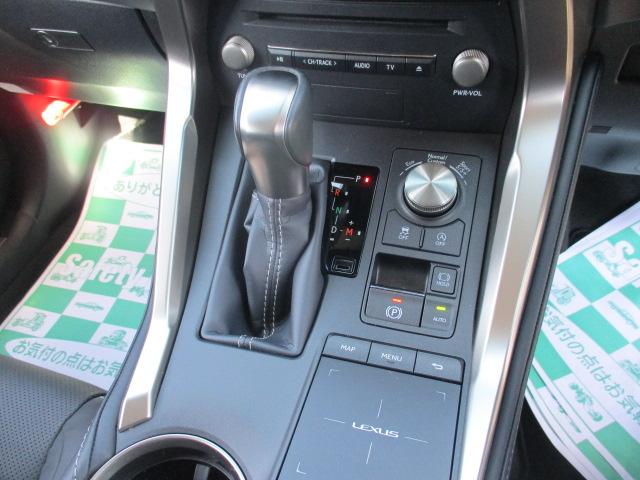 NX300 バージョンL(25枚目)