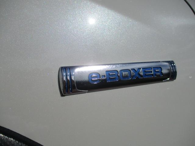 XV 2.0e-S アイサイト ワンオーナー/禁煙車/衝突回避ブレーキシステム/純正ナビ/フルセグTV/バックモニター/盗難防止システム衝突安全ボディ/クルーズコントロール/レーンアシスト/オートエアコン/LEDヘッドライト/ETC(54枚目)