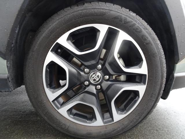 ���[���́A���S�̃g���^�t�@�C�i���X�B���Ȃ��̃��C�t�X�^�C���ɍ������v��I�Ȃ����p�ŁA�[�������J�[���C�t�����񑩂��܂��B