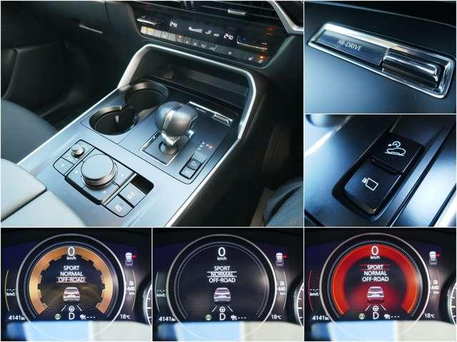 ＣＸ－６０ ３．３　ＸＤ　Ｓパッケージ　ディーゼルターボ　４ＷＤ　元試乗車　セ－フティシ－スル－　３６０ビュー（9枚目）