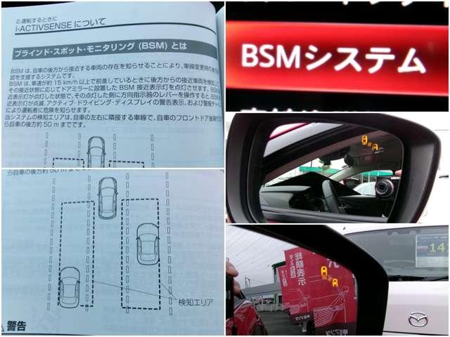 ���E��������ԗ��̐ڋ߂��A���[�����Ă����u���C���h�E�X�|�b�g�E���j�^�����O�𑕔�