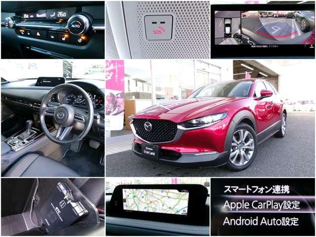 ���s���������Ȃ߁@�l�C�̃\�E�����b�h�I���S���S��������������X�^�C���b�V���b�w-�R�O�Ȃł���