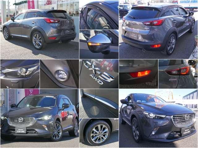 �k�d�c�t�H�O�����v��{�f�B�T�C�h�ɂ̓V���o�[�x�[���̃A�N�Z���g�B�A�N�����o�C�U�[�⃊�A�t�H�O�܂ł��Ă��܂�