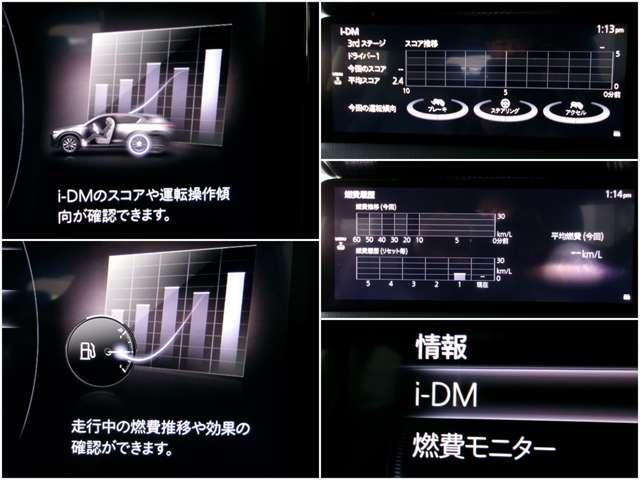 ���c�l�Ƃ������^�]�X�L��������x������V�X�e�������ڂ���A�R��j�^�[�ƍ��킹�āA�^�]���Ȃ���^�]�Z�p�A�b�v�ł��܂���