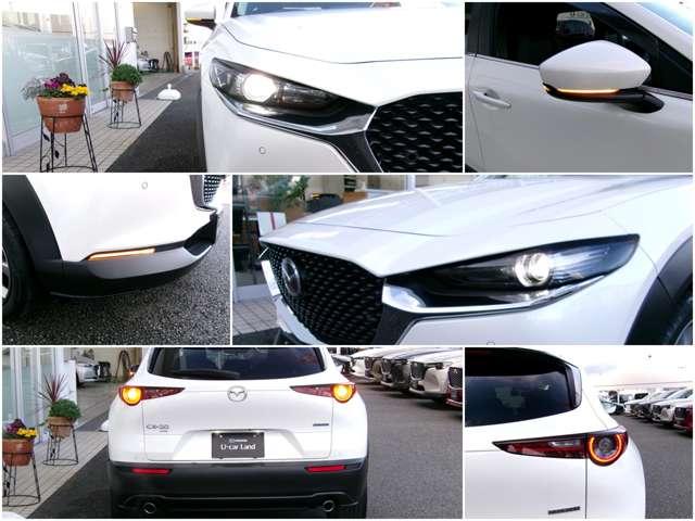 CX-30 2.0 20S 4WD 衝突被害軽減ブレーキ バックモニター(20枚目)