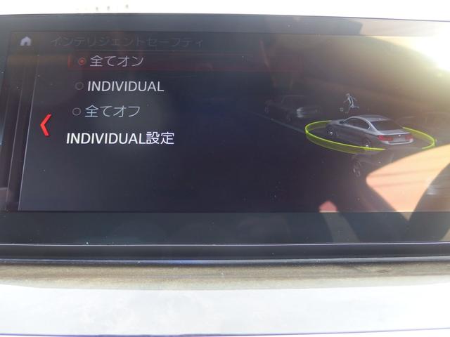 インテリジェントセーフティー画面になります。