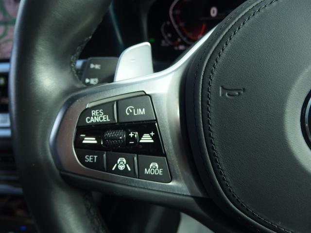 3シリーズ 320d xDrive Mスポーツ 18AW ドライビングアシストプロフェッショナル アダプディブLEDヘッドライト ハイビームアシスタント パーキングアシスト USBオーディオインターフェイス Bluetooth HDDナビ(23枚目)