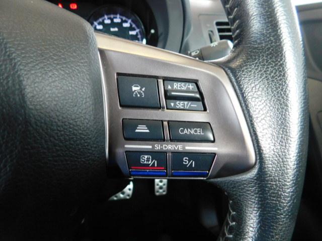 2.0XT EyeSight 楽ナビ ETC パワーシート(19枚目)
