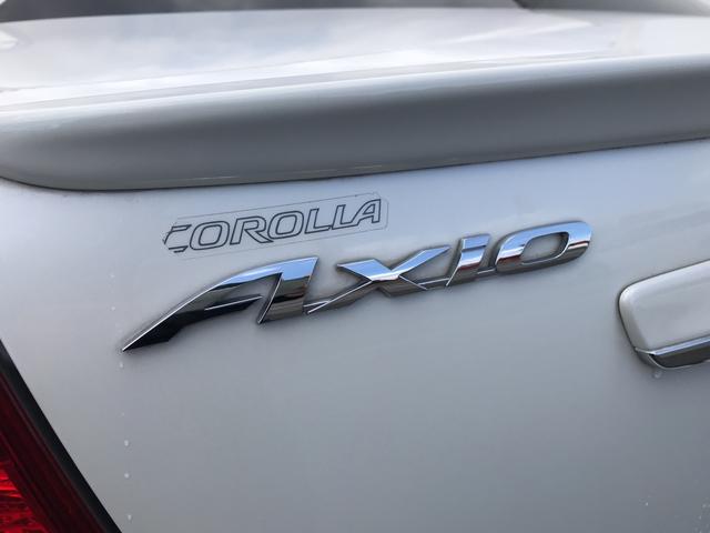 ラグゼール 4WD 寒冷地仕様 ナビ TV バックカメラ(13枚目)