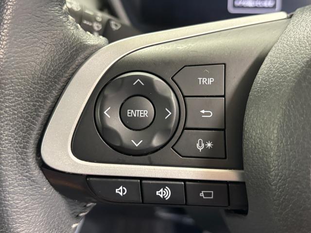 ロッキー プレミアムG ディスプレイオーディオ 全方位カメラ ドラレコ ETC シートヒーター ターボエンジン クルーズコントロール オートライト オートエアコン LEDヘッドランプ LEDフォグランプ CVT(64枚目)