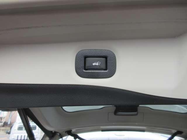 エクストレイル ２０Ｘｉ　Ｖセレクション　ワンオーナー・プロパイロット・純正９インチナビ・アラウンドビューモニター・スマートルームミラー・ＬＥＤヘッドライト・フォグ・電動バックドア・前後ヒーターシート・ＥＴＣ・パワーシート・ルーフレール（17枚目）