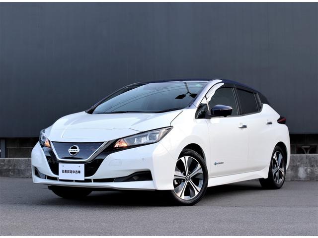 新世代のＥＶにふさわしい、スリークなシルエットと先鋭的なディテール！