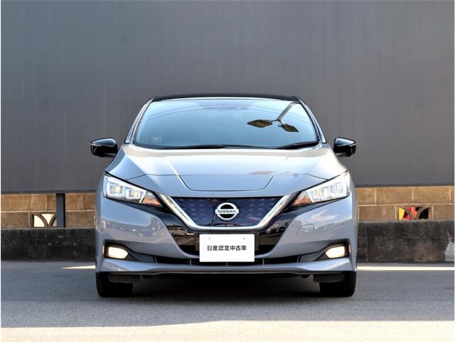 リーフ G 日産コネクトナビTV 全方位運転支援システム プロパイロットパーキング アラウンドビューモニター プロパイロット 前後ドラレコ ETC2.0 シートヒーター&ステアリングヒーター LEDヘッドランプ(44枚目)