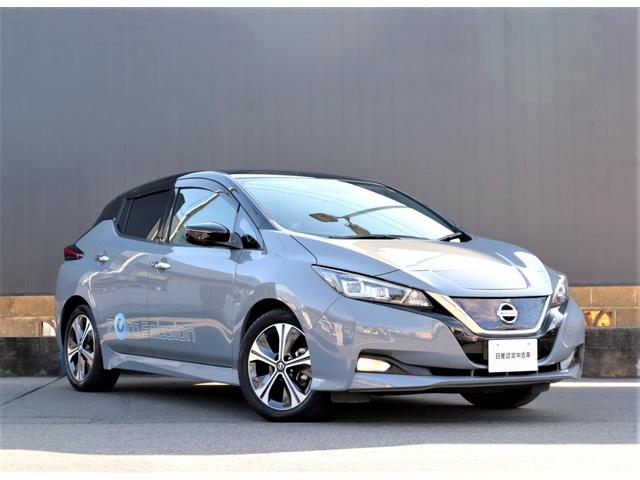 リーフ G 日産コネクトナビTV 全方位運転支援システム プロパイロットパーキング アラウンドビューモニター プロパイロット 前後ドラレコ ETC2.0 シートヒーター&ステアリングヒーター LEDヘッドランプ(46枚目)