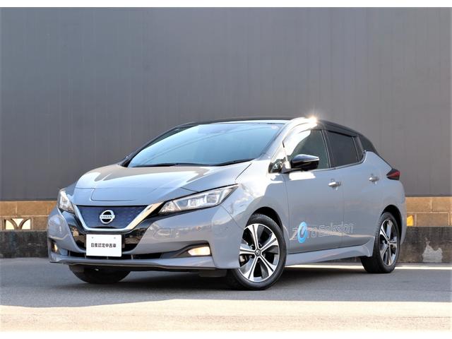 リーフ G 日産コネクトナビTV 全方位運転支援システム プロパイロットパーキング アラウンドビューモニター プロパイロット 前後ドラレコ ETC2.0 シートヒーター&ステアリングヒーター LEDヘッドランプ(55枚目)