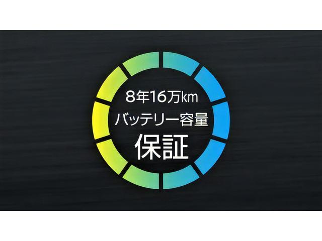 リーフ G 日産コネクトナビTV 全方位運転支援システム プロパイロットパーキング アラウンドビューモニター プロパイロット 前後ドラレコ ETC2.0 シートヒーター&ステアリングヒーター LEDヘッドランプ(66枚目)