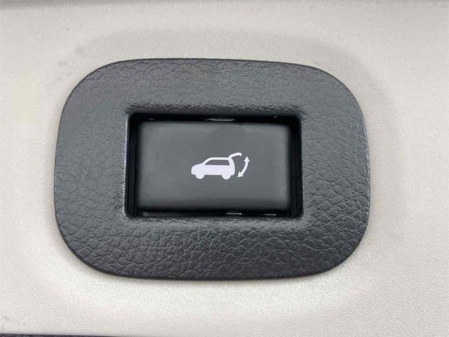 エクストレイル 20X 4WD ETC バックカメラ クリアランスソナー 衝突被害軽減システム ナビ TV オートライト 電動リアゲート アルミホイール スマートキー アイドリングストップ 電動格納ミラー CVT(30枚目)