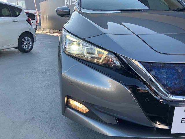 リーフ Ｇ　ＥＴＣ　全周囲カメラ　ナビ　ＴＶ　クリアランスソナー　オートクルーズコントロール　レーンアシスト　自動駐車システム　衝突被害軽減システム　アルミホイール　オートライト　ＬＥＤヘッドランプ　スマートキー（18枚目）