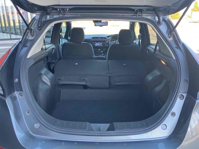 リーフ Ｇ　ＥＴＣ　全周囲カメラ　ナビ　ＴＶ　クリアランスソナー　オートクルーズコントロール　レーンアシスト　自動駐車システム　衝突被害軽減システム　アルミホイール　オートライト　ＬＥＤヘッドランプ　スマートキー（39枚目）