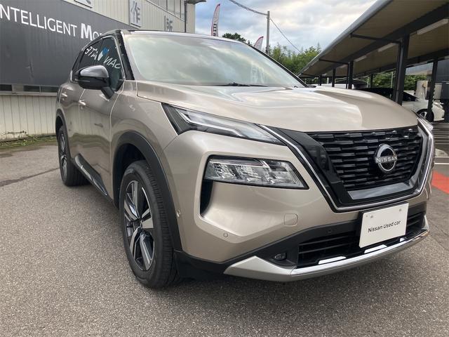 エクストレイル Ｇ　ｅ－４ＯＲＣＥ　４ＷＤ　全周囲カメラ　クリアランスソナー　レーンアシスト　パワーシート　自動駐車システム　衝突被害軽減システム　ナビ　オートマチックハイビーム　オートライト　ＬＥＤヘッドランプ　電動リアゲート（13枚目）
