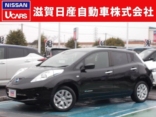 30kWh X バッテリー容量12セグ(1枚目)