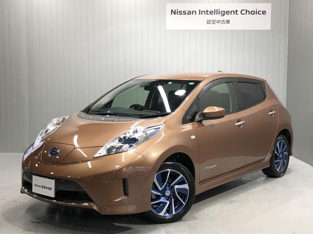 30kWh X エアロスタイル サンクス エディション 衝突被害軽減ブレーキ&LEDヘッドライト(1枚目)