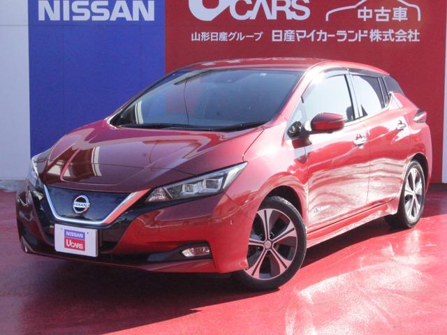 G リーフ【40kw】■純正ナビ■アラウンドビューカメラ■アルミホイール■プロパイロット■全席シートヒーター■プライバシーガラス■諸突被害軽減ブレーキ■ETC■(1枚目)