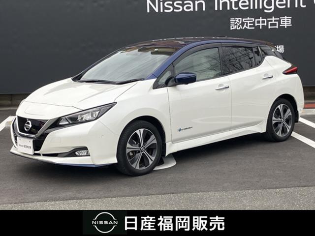 日産 リーフ ｅ＋　Ｇ　６２ｋｗｈプロパイロット・ワンオーナー禁煙車　踏み間違い　ＬＥＤライト　スマートキー　ＡＷ　ワンオーナー　車線逸脱警報　禁煙車　ＡＣ　ＣＤ　ＥＴＣ　バックカメラ　ナビ＆ＴＶ　メモリーナビ　アラウンドモニター　サイドエアバッグ　ワンセグＴＶ　記録簿