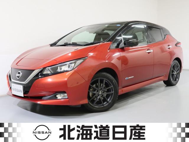 日産 リーフ Ｇ　プロパイロット・エマージェンシーブレーキ衝突防止支援システム横滑り防止機能車線逸脱防止支援後側方車両検知プロパイロットパーキングインテリジェントルームミラー全席シートヒーターステアリングヒーター