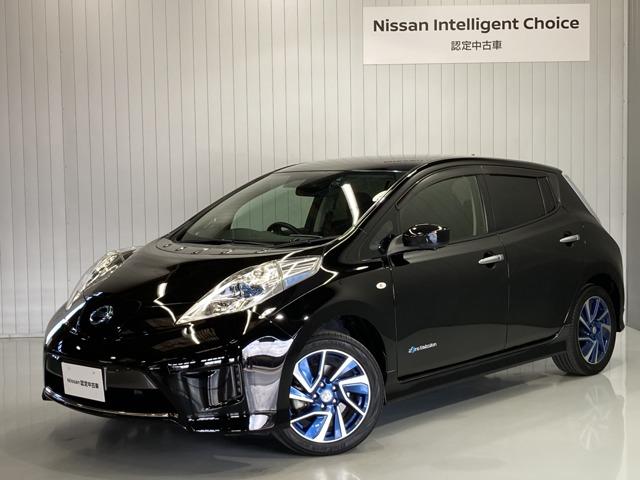 G エアロスタイル(30kwh) 30kWh G エアロスタイル 衝突被害軽減ブレ-キ&EV専用ナビ・全周囲カメラ・クルーズコントロ-ル・ドライブレコ-ダ-・LEDヘッドライト・オートライト・シートヒ-タ-・ETC付(1枚目)