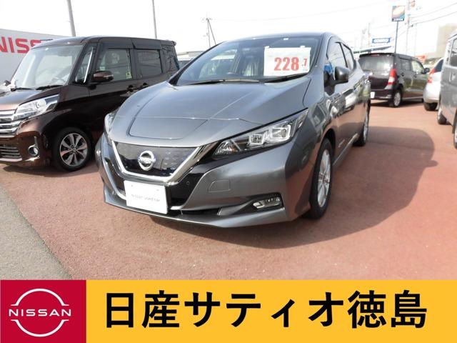 日産 リーフ Ｇ　ナビ付