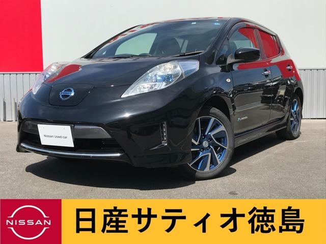 日産 リーフ ３０ｋＷｈ　Ｇ　エアロスタイル　専用ナビ・ワンオーナー・クルコン・ＥＴＣ