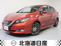 日産　リーフ　Ｓ　クルーズコントロール　エマージェンシーブレーキ　横滑り防止