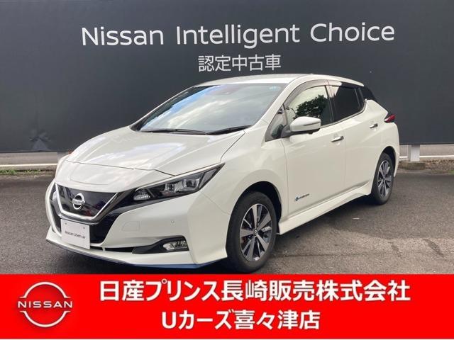 日産 リーフ 年モデル の価格・性能・装備・オプション