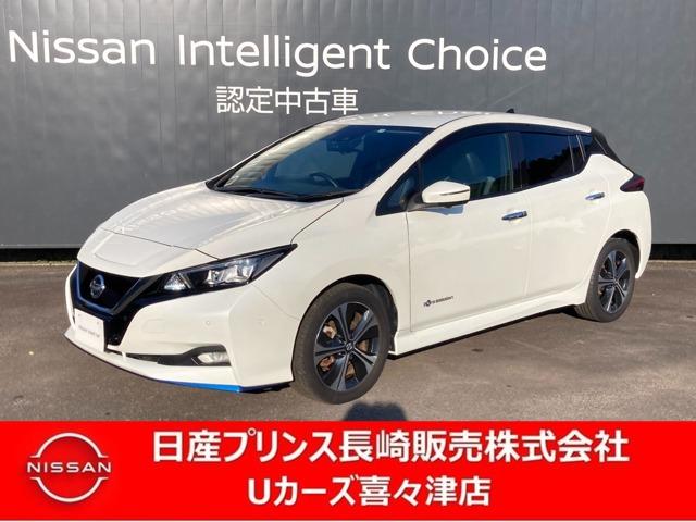 リーフ(日産) ｅ＋　Ｇ　エマージェンシーブレーキ　ナビ　ドラレコ 中古車画像