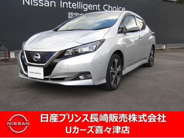 リーフ(日産) Ｇ　ナビＴＶ　プロパイロット　アラモニ　ＥＴＣ 中古車画像