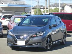 日産　リーフ　ｅ＋　Ｇ　寒冷地仕様＋レザーパッケージ　新品タイヤ