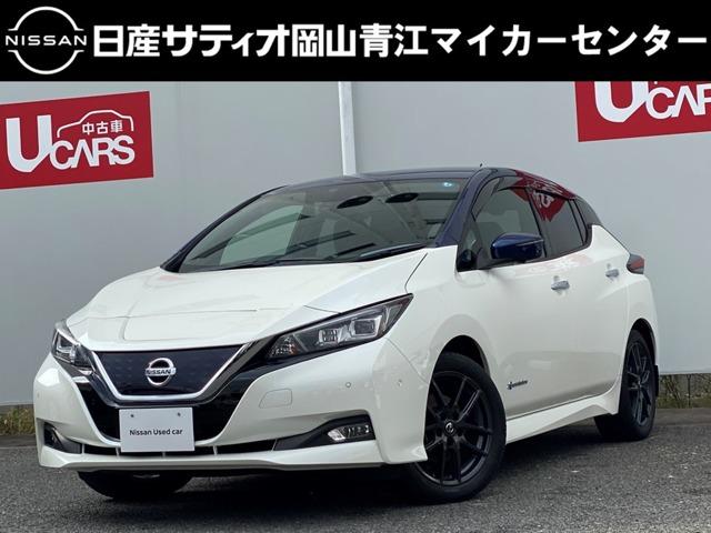 日産 リーフ Ｇ　プロパイロット　ＥＶ専用ナビ　ＡＶＭ