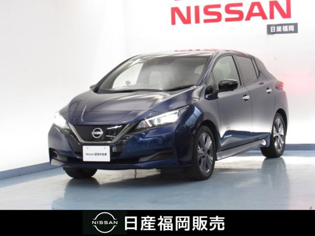 日産 リーフ アーバンクロム　ナビ　ＴＶ　プロパイロット　エマージェンシーブレーキ　ＥＴＣ　ＬＥＤヘッドライト　インテリジェントキー　車線逸脱防止　１オナ車　メモリーナビ　オートエアコン　アラウンドカメラ