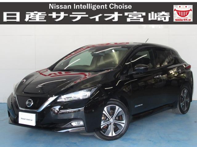 日産 リーフ Ｇ　ナビ　ドラレコ　プロパ