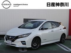 日産　リーフ　オーテック　ＡＵＴＥＣＨ　プロパイロット　寒冷地仕様