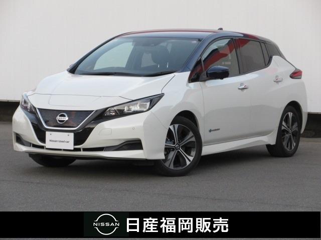 日産 リーフ Ｘ　Ｖセレクション　ディスプレイナビ＆プロパイロット＆ワンオ　アダプティブクルーズ　ＬＥＤライト　元試乗車　スマートキー　車線逸脱警報　ＥＴＣ　アルミホイール　オートエアコン　ワンセグＴＶ　バックカメラ　記録簿　サイドモニター　キーフリー　ＡＢＳ　ＴＶ　１オナ