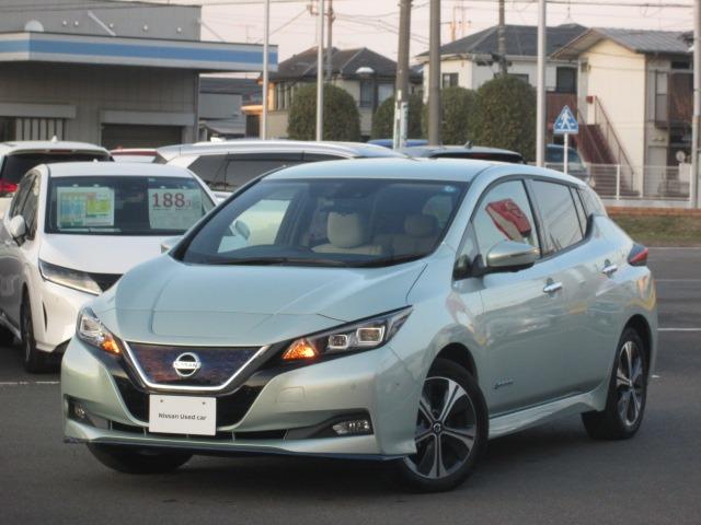 ｅ＋Ｇ　６２Ｋｗｈ　プロパイロット　寒冷地仕様＋レザーパッケージ　ＮｉｓｓａｎＣｏｎｎｅｃｔナビゲーション　アラウンドビューモニター　ＥＴＣ