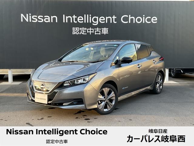 日産 リーフ アーバンクロム 前方ドラレコ ＥＴＣ プロパイロットの ...