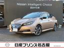 日産 リーフ アーバンクロム　プロパイロット★１２セグ★寒冷地★...