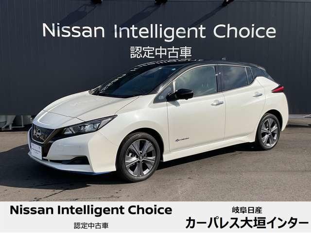 日産 リーフ ｅ＋アーバンクロム　全周囲カメラＥＴＣ２．０