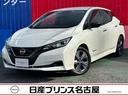 日産 リーフ アーバンクロム　バッテリー１２セグ　プロパイロット...